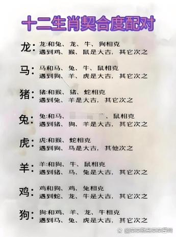 龙和兔相克还是相冲截图3