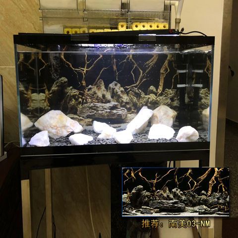 南美水族论坛官网