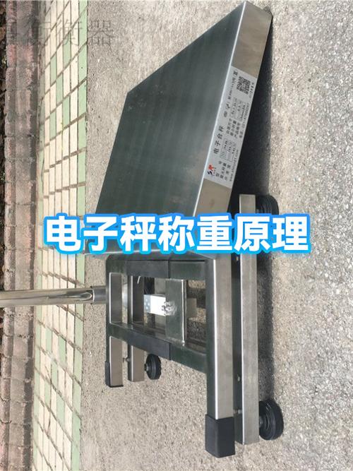 电子秤失灵了怎么办截图2