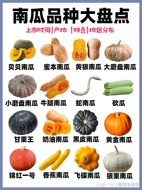 南瓜种类大全图片及名称