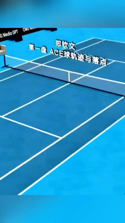 ACE球落点示意图