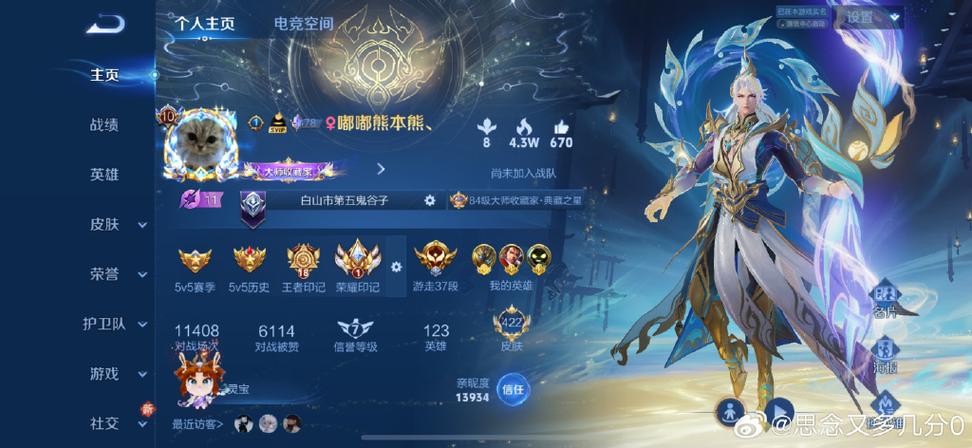 王者vip等级怎么关闭