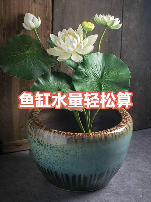 鱼缸计算多少升水