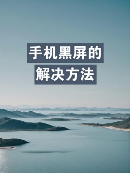 vivo手机黑屏怎么恢复截图3