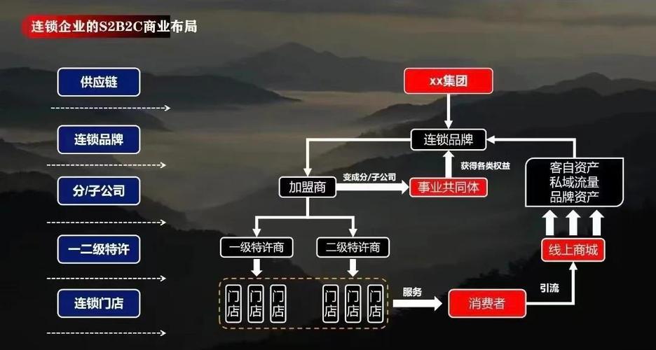 s2b2c商业模式是什么意思截图1