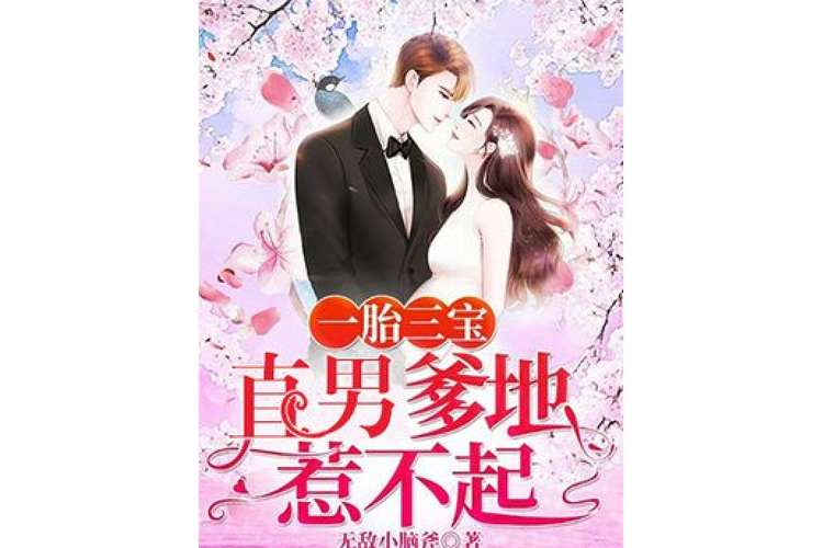 一胎三宝爹地惹不起小说截图1
