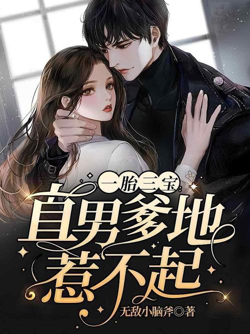 一胎三宝爹地惹不起小说截图3