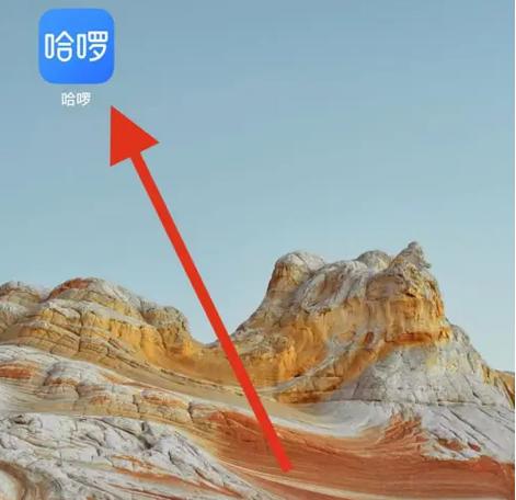 哈罗出行怎么看乘客性别