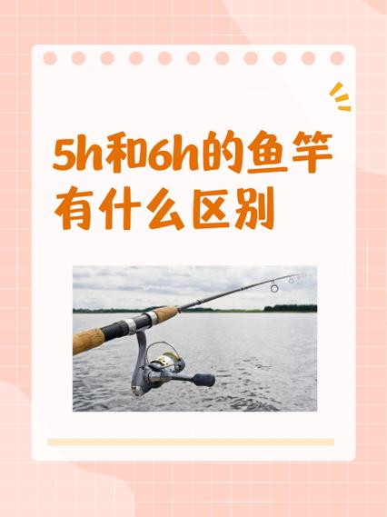 鱼竿5h6h8h是什么意思