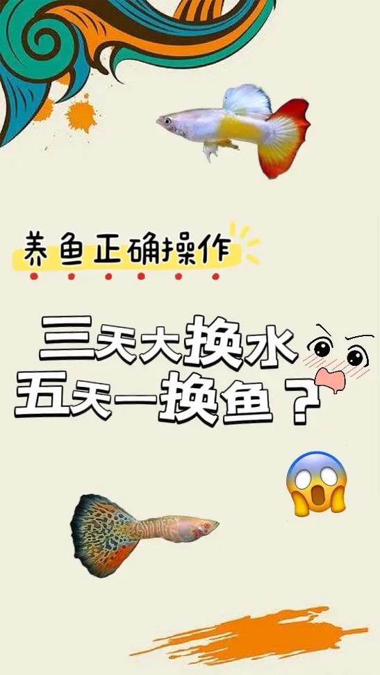 金鱼换水注意事项