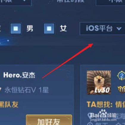 王者荣耀如何查看别人QQ