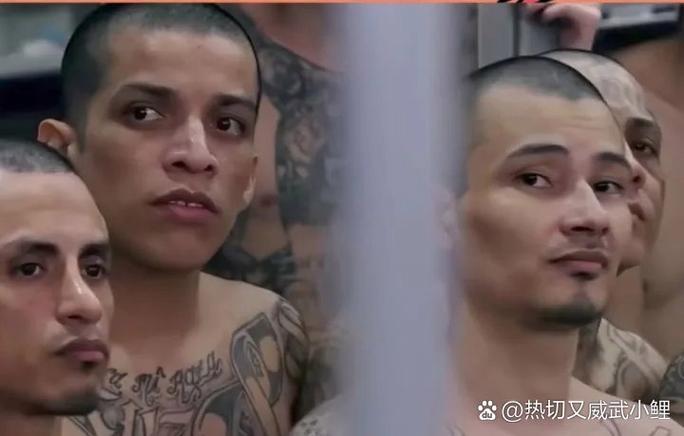新生儿名字出生前还是后取