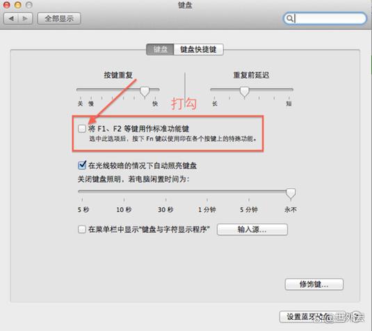 系统偏好设置里高级在哪里