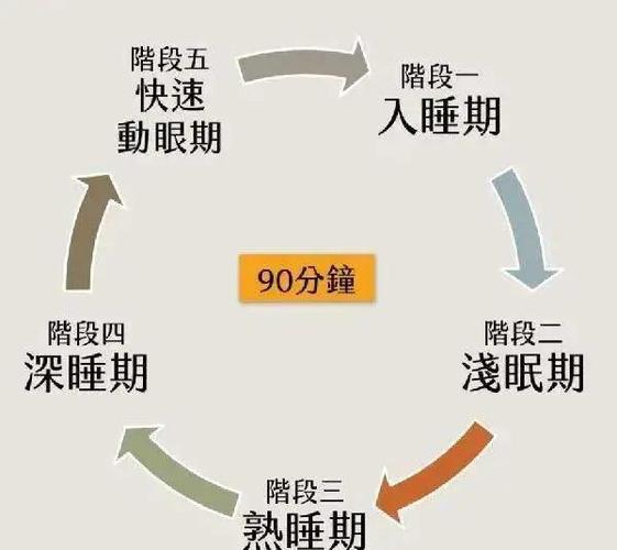 人休眠状态什么意思