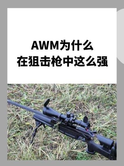 吃鸡awm伤害