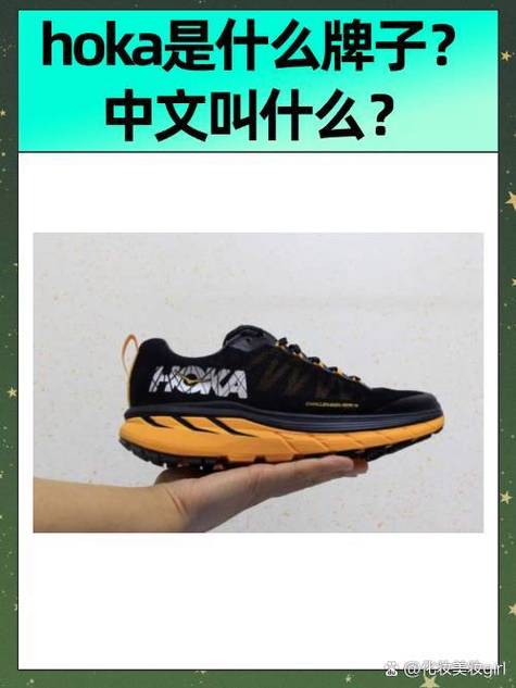 这个牌子中文叫什么