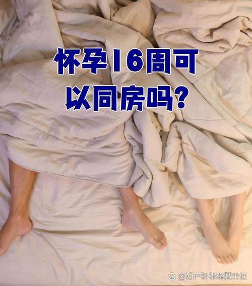 媳妇怀孕期间能同房吗