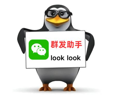 微信挂圈发的是什么内容