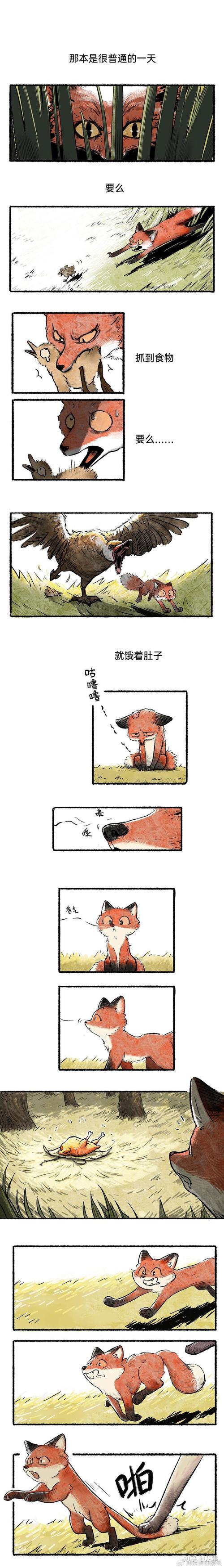 通狐漫画网
