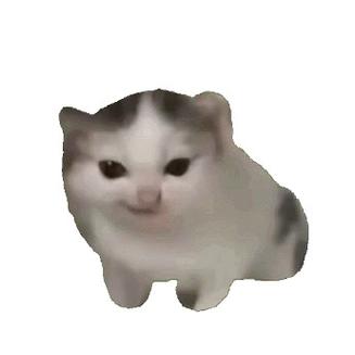 meme 表情包