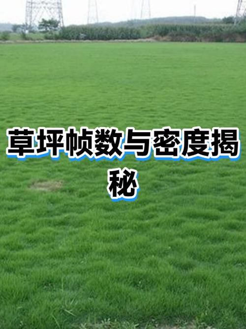 90帧和120帧有什么区别