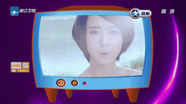 我爱记2008免费观看下载