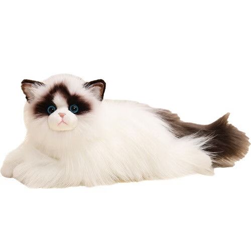 布偶猫玩偶