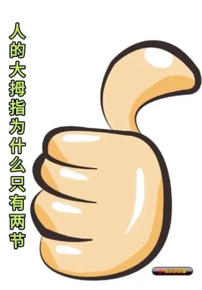 为什么叫大拇指