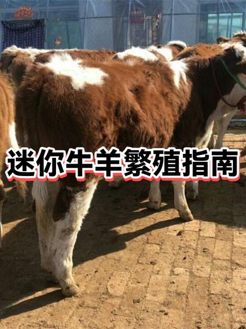 迷你世界如何让动物繁殖