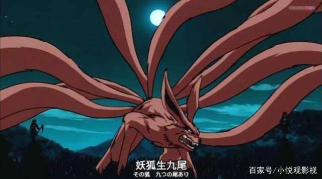 火影狐路过