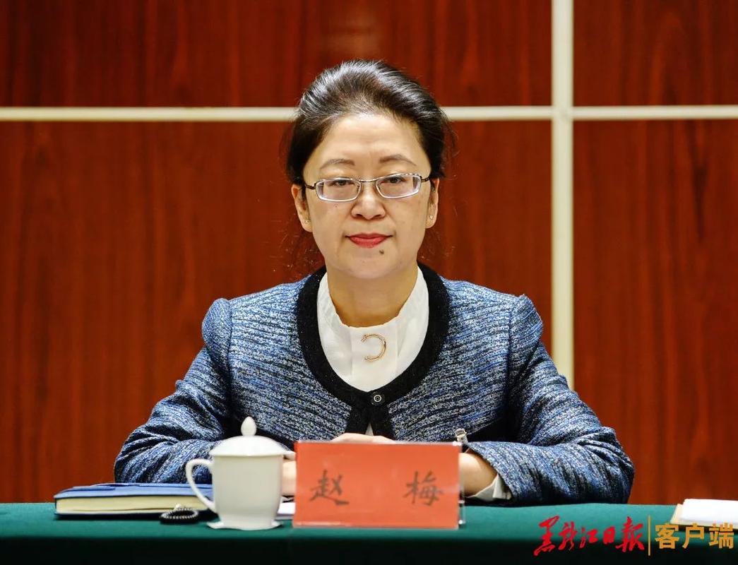 漂亮的省委书记夫人小说赵梅