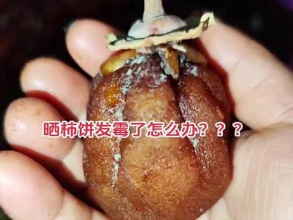 柿饼冷藏了6天了还能吃吗