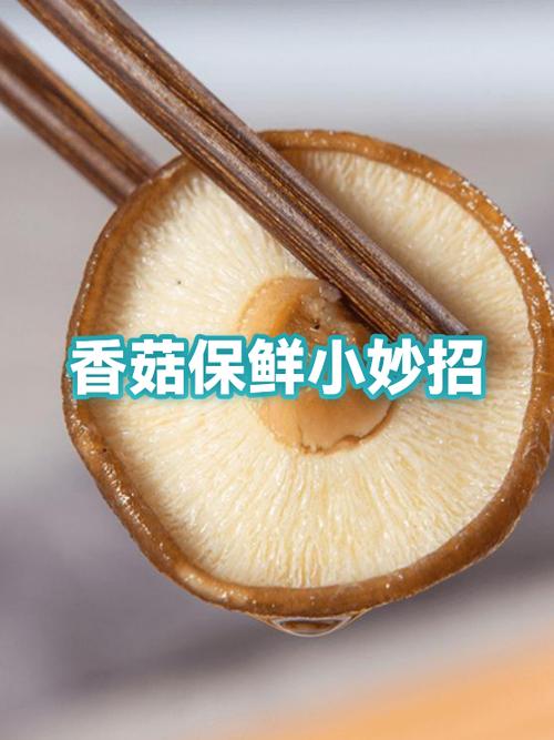 香菇冷藏了10天还能吃吗