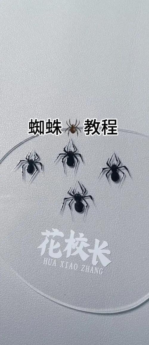 蜘蛛辅助瞄准最简单三个步骤