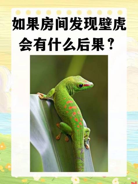 杀死壁虎的危害