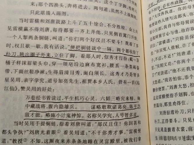 《水浒传》白话文阅读