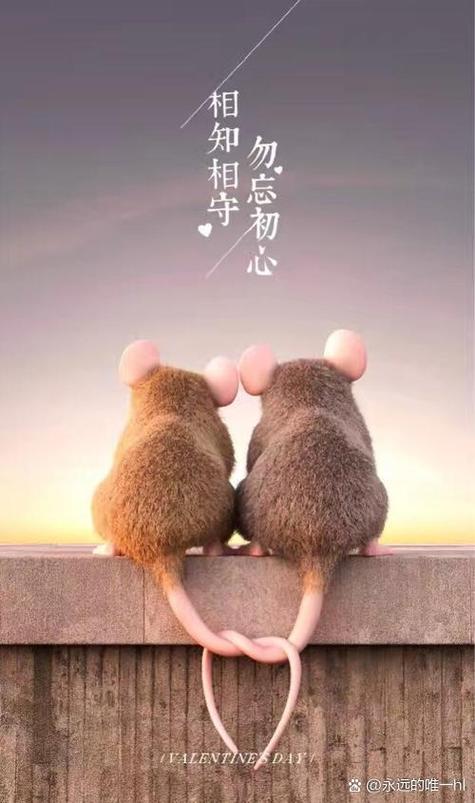 暖心相陪伴