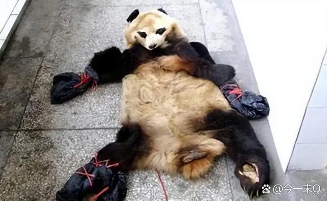 熊猫市场
