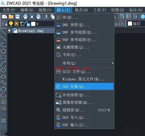怎么把cad画的图放到word里面