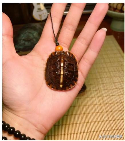 龟壳能盘出包浆吗 龟壳能盘出包浆吗