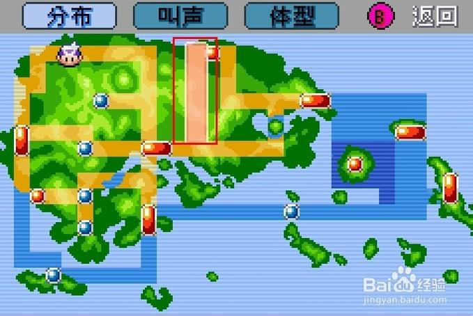 口袋妖怪白金笨笨鱼钓点