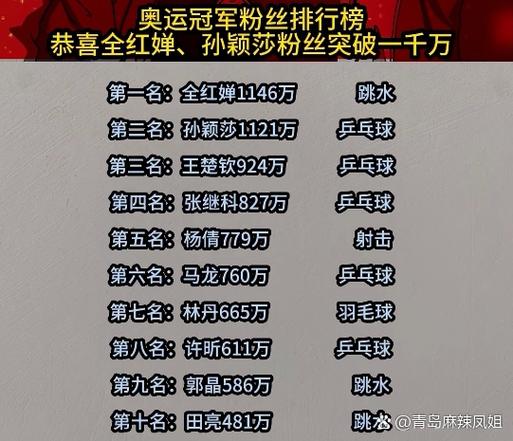全国粉丝排行榜第一名