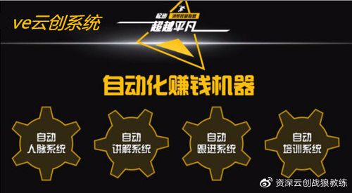 ve云创微营销