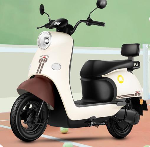 新日电动车款式大全