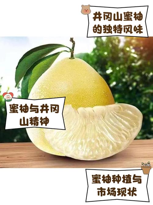 蜜柚最新版v126