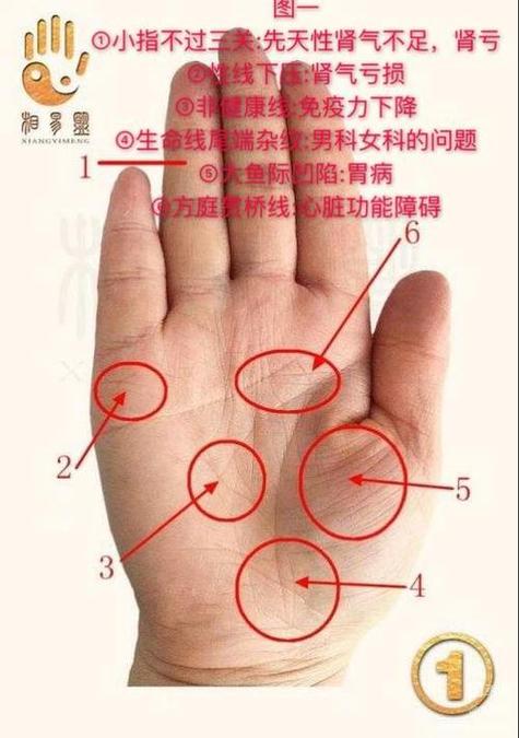 女人手相纹路杂乱说明什么