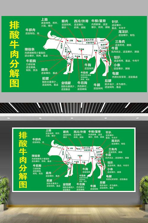 牛肉分解部位讲解图