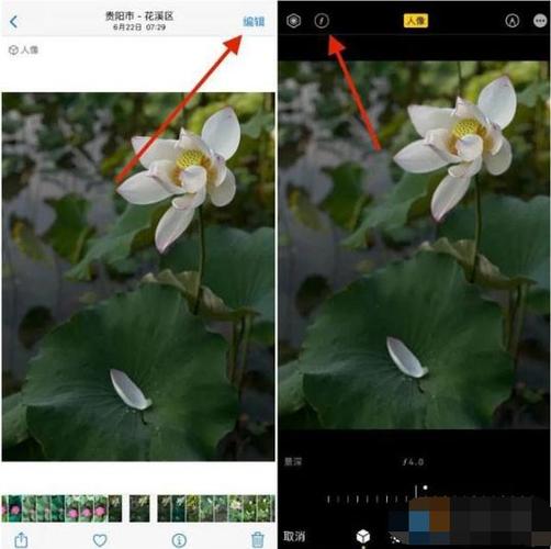 苹果背景虚化怎么拍