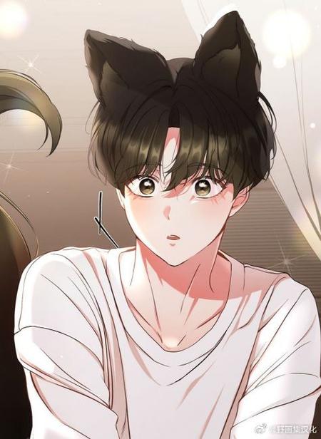 猫咪小说官方网页 猫咪小说官方网页