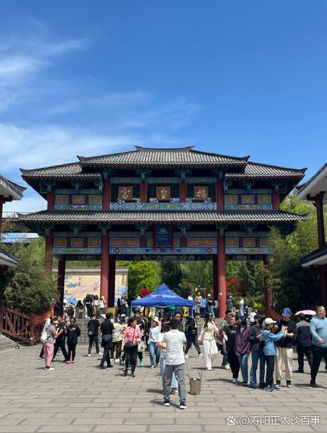 巅峰阁软件合集